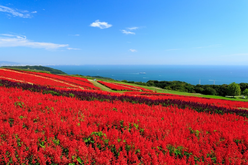 兵庫県淡路島でおすすめのホテル3軒をご紹介｜魅力溢れる花の島に宿泊！