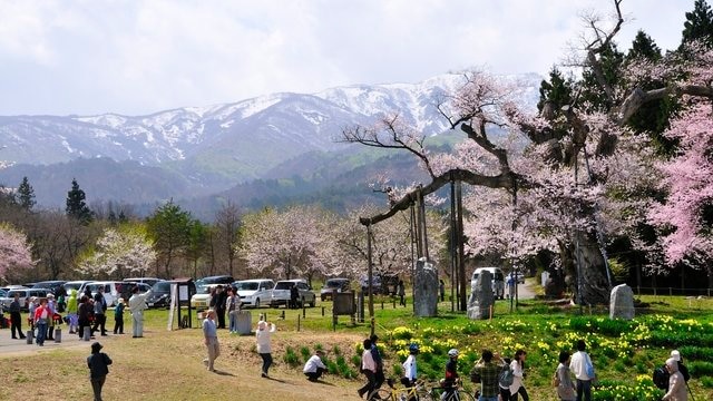 山形県白鷹町でおすすめのお土産４選。地元で人気のお菓子が大集合！