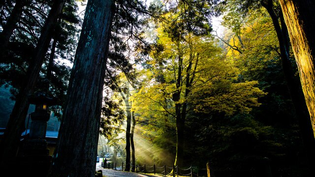 禅寺の代名詞 永平寺をいざ観光 770年以上続く厳しい修行道場の魅力に迫る Skyticket 観光ガイド