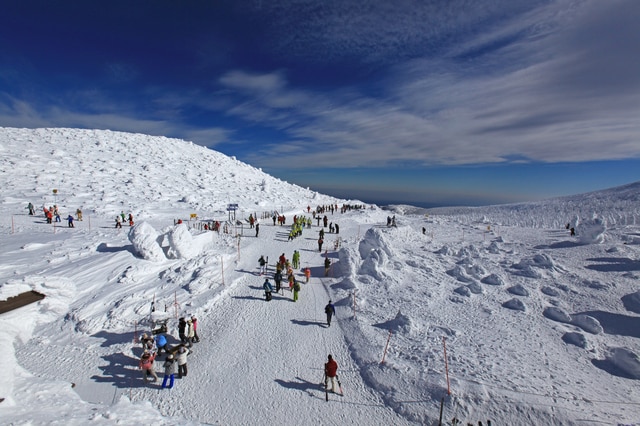 冬の寒さを忘れさせてくれる宮城県の冬の観光スポットおすすめ6選 Skyticket 観光ガイド