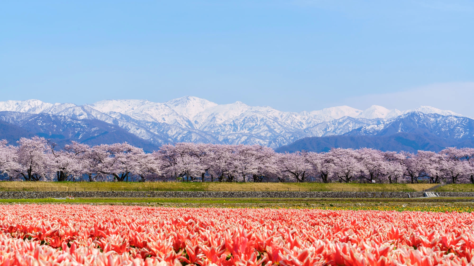 富山県朝日町でホテルを探すなら 天然記念物の洞窟温泉へ行こう Skyticket 観光ガイド