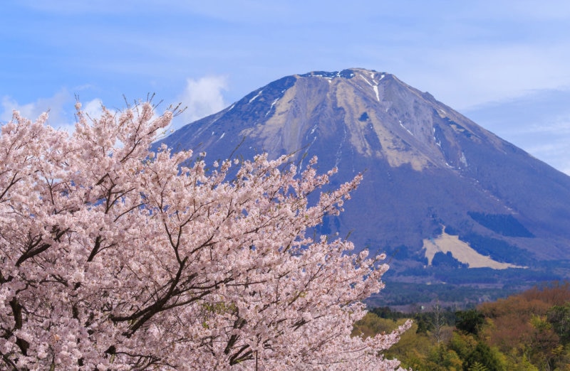 桜咲き乱れる最高の春を味わうなら鳥取県！選りすぐりの桜の名所5選