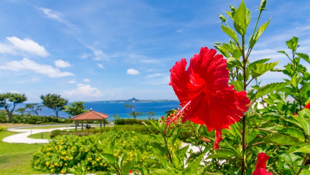 自由気ままに沖縄を楽しむ！おすすめのコンドミニアム9選！