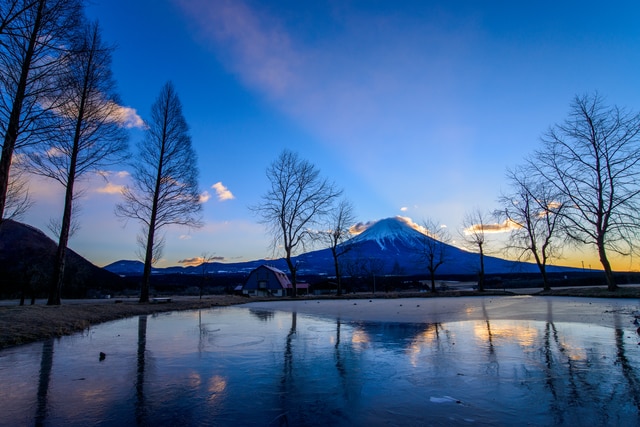 寒い冬にもってこい 冬が大好きになる静岡のおすすめスポット6選 Skyticket 観光ガイド