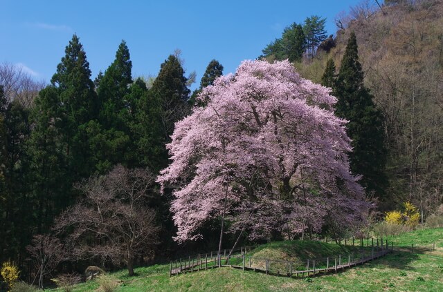 町 川俣