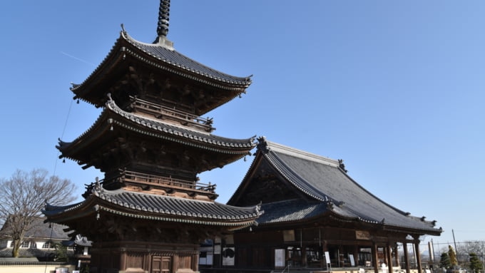 西大寺三重塔と本堂