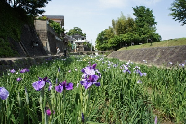 熊本県玉名市の観光スポット10選 漱石ゆかりの花の里へ行ってみよう Skyticket 観光ガイド