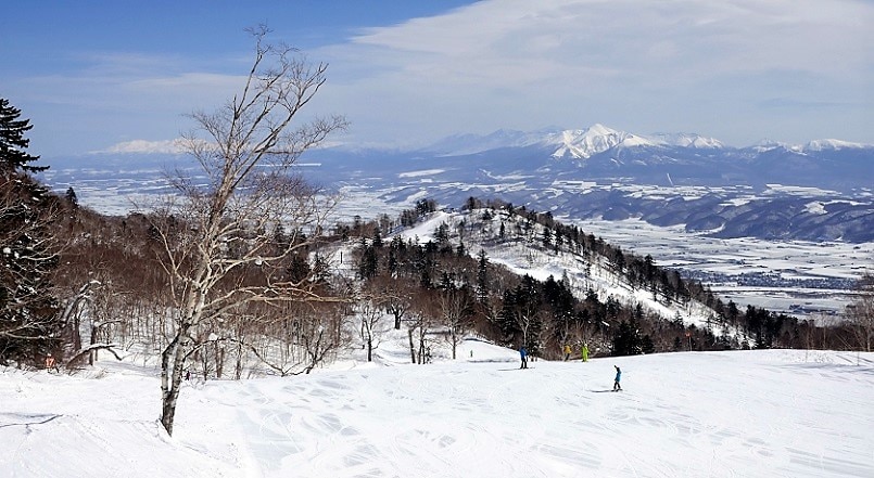 北海道富良野の厳選スキー場5選！パウダースノーを満喫しよう