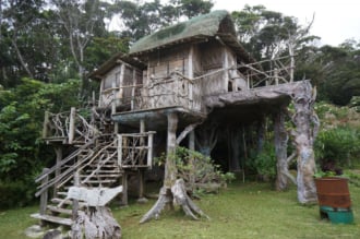 やんばる学びの森