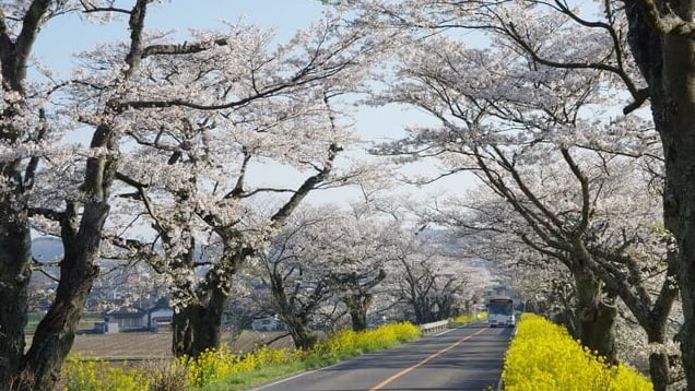 温泉とフルーツに注目！栃木県さくら市で買いたい人気のお土産