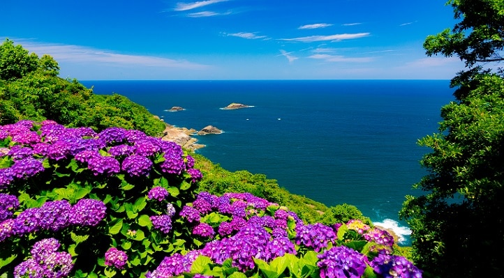桃源郷岬で紫陽花と大海原を楽しもう！門川町の観光スポット5選