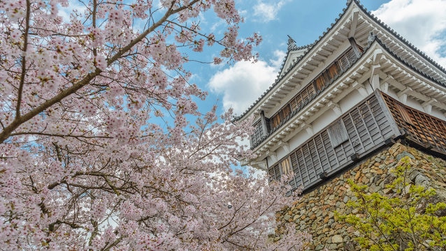 城下町ならではのお祭りが満載！京都府福知山市の注目のお祭り4選！