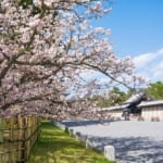 京都御苑