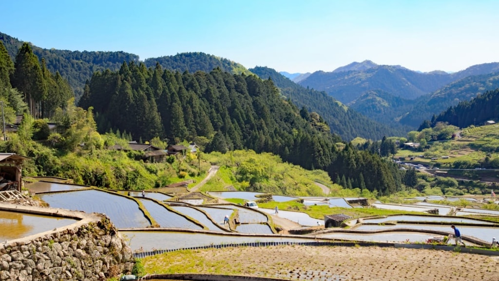 【愛知県新城市】四谷の千枚田の観光情報｜『日本の棚田100選』の絶景に癒されよう