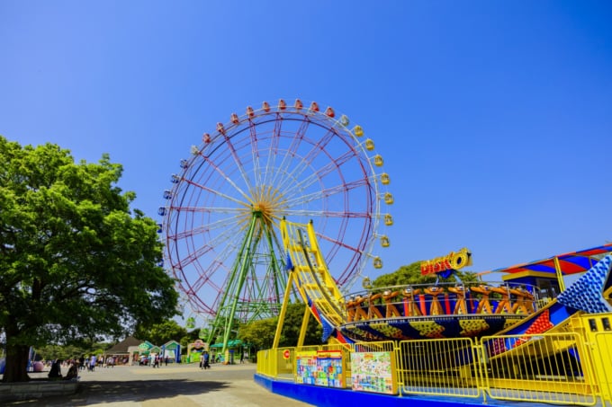 1年中楽しめる 茨城県 国営ひたち海浜公園 の魅力とは Skyticket 観光ガイド