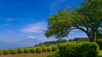 山中城址公園から望む富士山
