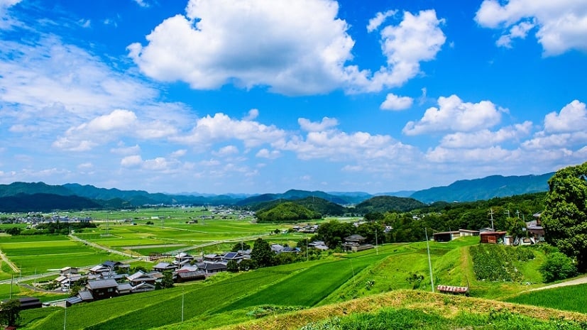 京野菜にお酒 極上スイーツまで 京都府亀岡市でイチオシのお土産4選 Skyticket 観光ガイド