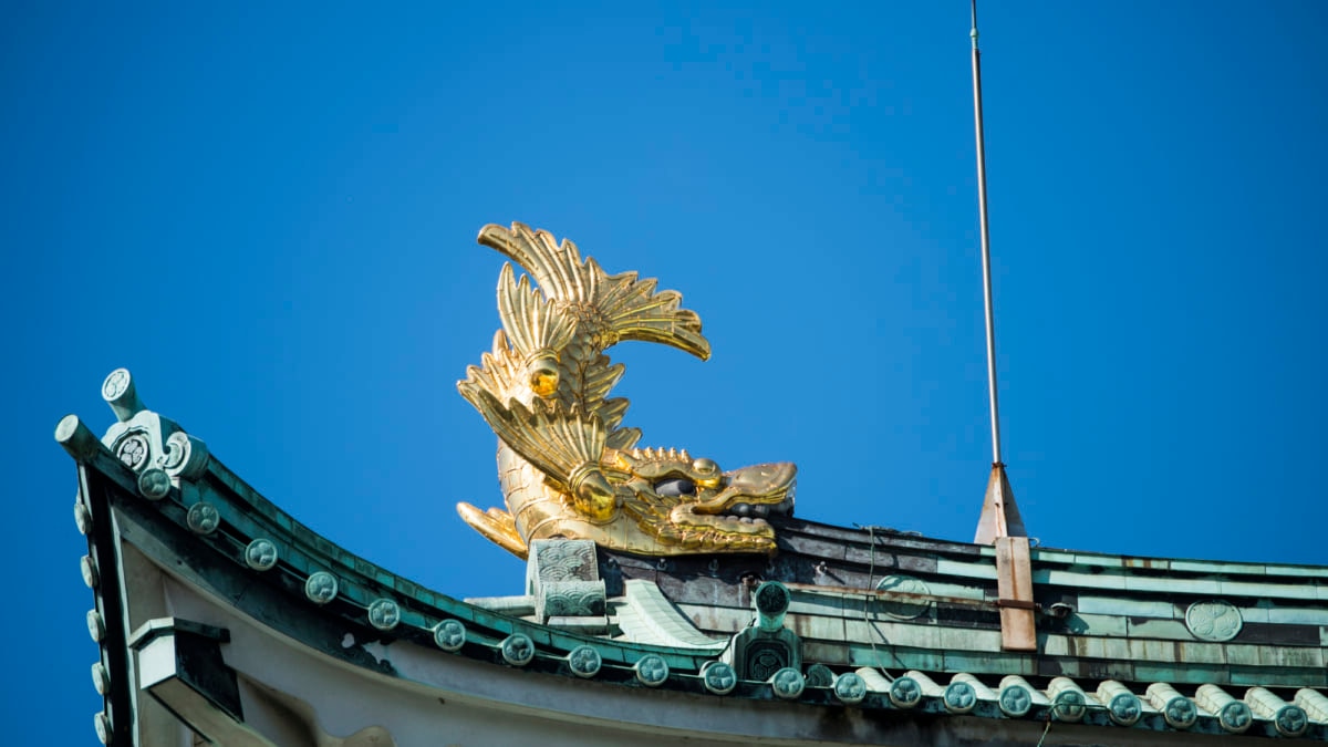 名古屋城 金のシャチホコが取り外される 16年ぶりに地上へ 名古屋城 金鯱展 開催 Skyticket 観光ガイド