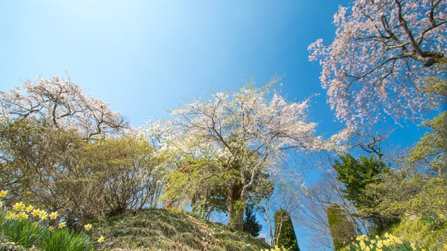 宮城県の交通の要所、岩沼のおすすめ観光スポット5選