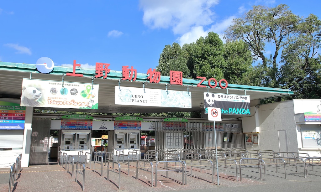 東京観光の代名詞！定番観光スポット・上野動物園の魅力に迫る