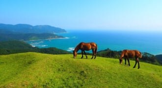 宮崎県最南端の串間市でゆっくり滞在を楽しむおすすめの宿泊施設3選 Skyticket 観光ガイド