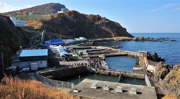 おたる水族館