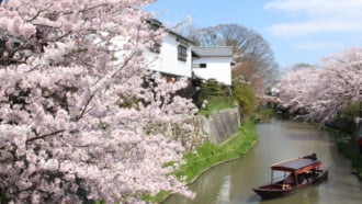 近江八幡市の水郷