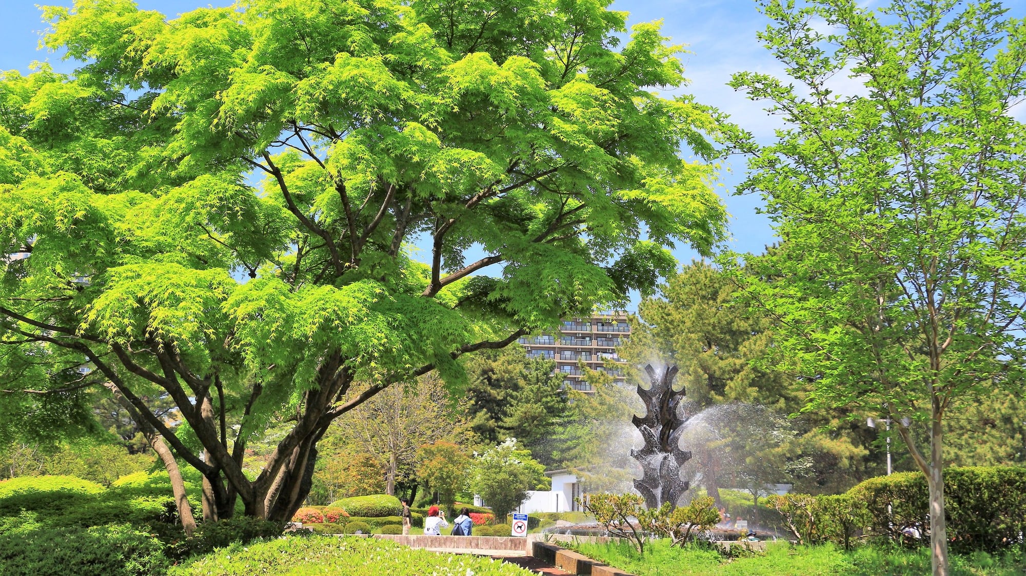 仙台市街の桜の名所 榴岡公園のおすすめポイントをご紹介します Skyticket 観光ガイド