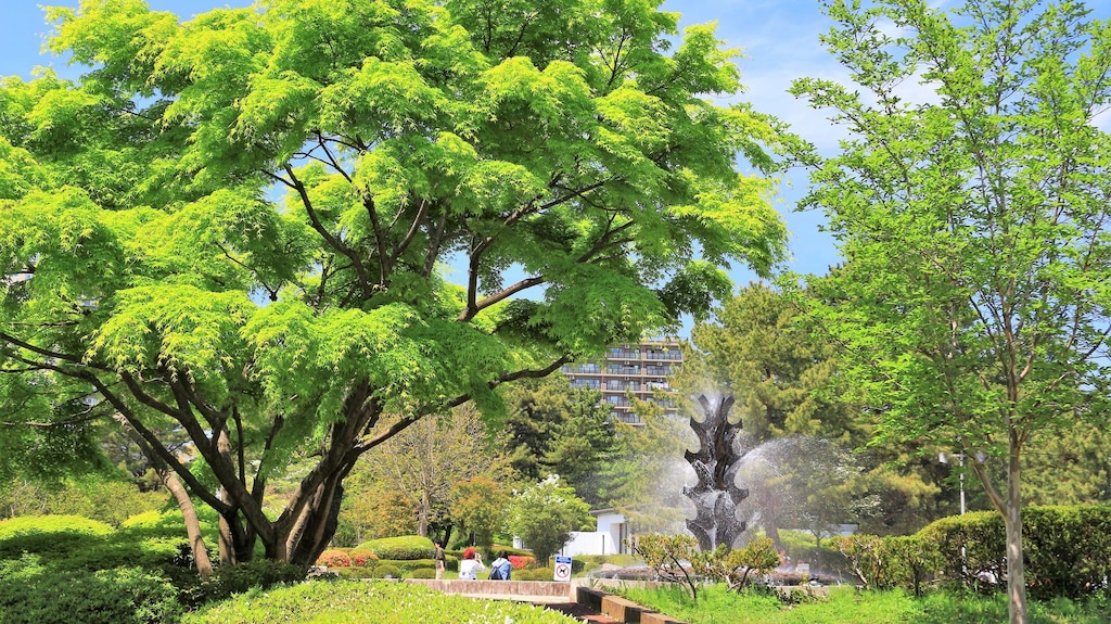 仙台市街の桜の名所！榴岡公園のおすすめポイントをご紹介します
