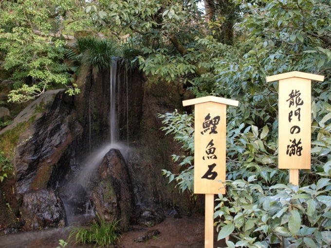 金閣寺 龍門滝