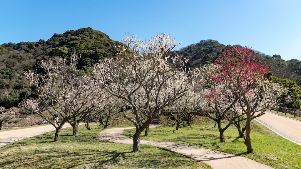 福岡県嘉麻市で探すおすすめホテル！遠賀川の源流があるのどかな町