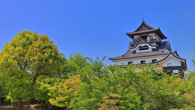 ういろで作ったお団子も！愛知県犬山市でおすすめのお土産4選