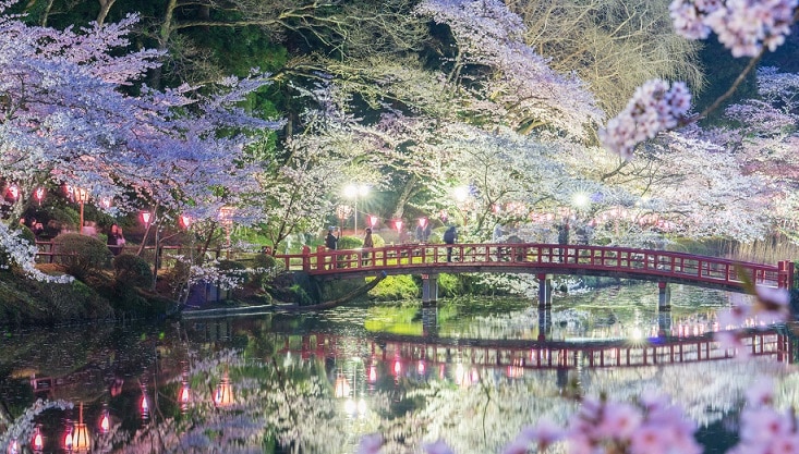 千葉のお花見におすすめ！◎県内桜の名所4選