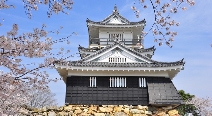 静岡県でお花見するならココ！静岡県にあるオススメ桜スポット5選