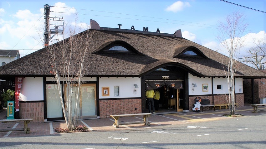 和歌山で猫の駅長に会いたい！和歌山市の魅力的な観光スポット6選