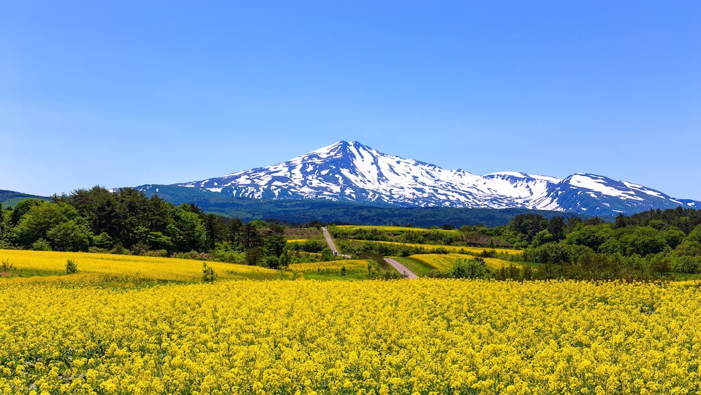 秋田県で最も大きい市！由利本荘市のホテル事情を紹介します