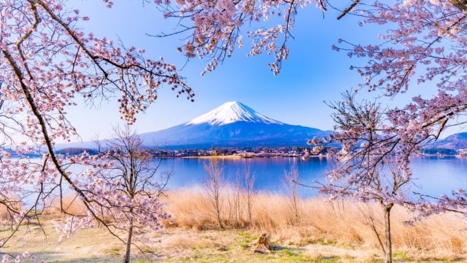 絶景 富士山が見える桜の名所5選 Skyticket 観光ガイド