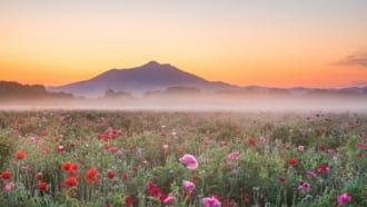 茨城県のシンボル・筑波山（つくばさん）