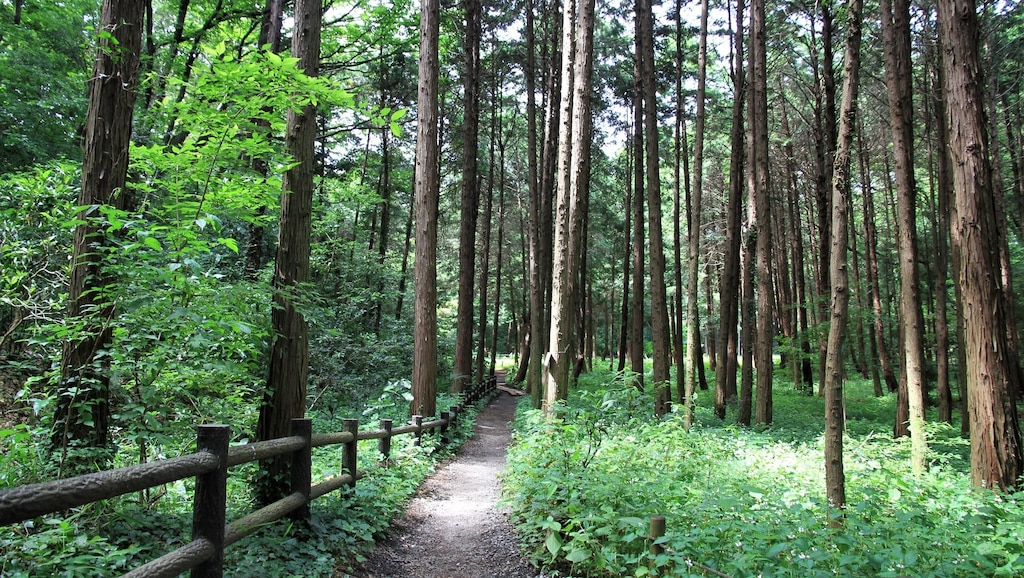 神奈川県大和市のおすすめホテル！公園が多い自然豊かなベッドタウン