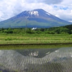 新緑の季節　岩手山のある風景
