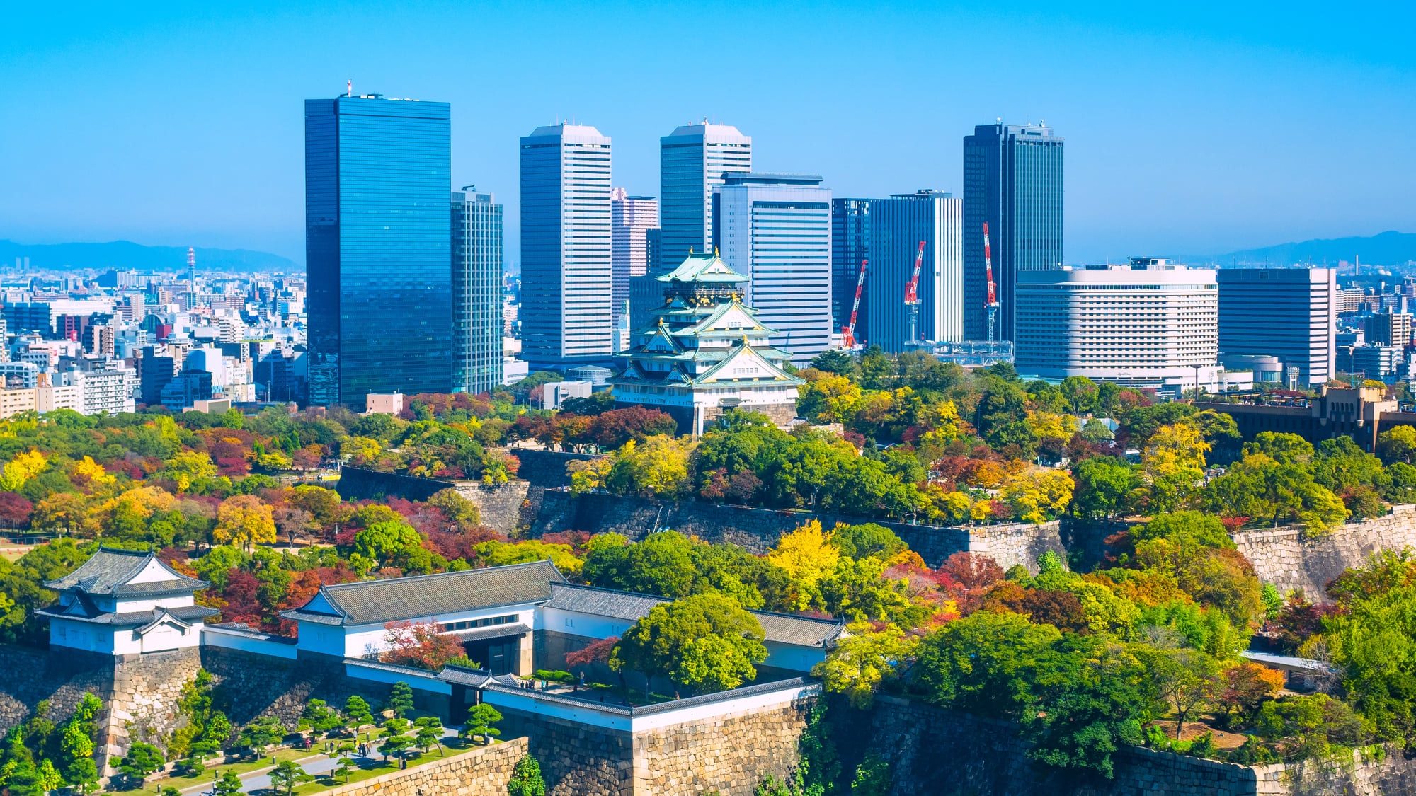 大阪城公園の花見❘混雑状況や穴場スポットは？場所取りの時間はいつがベストなのか！