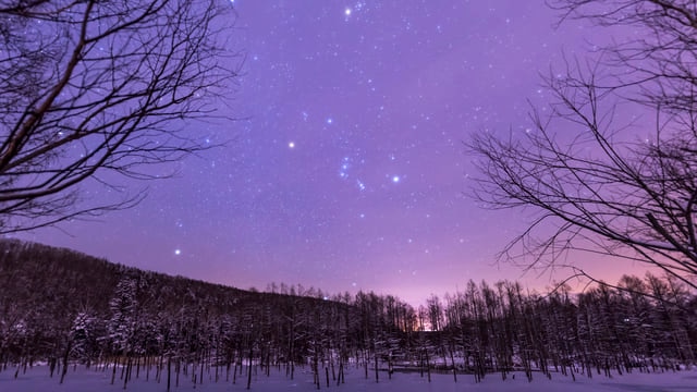 北海道の冬の観光スポットを紹介 北国の魅力は冬にあり Skyticket 観光ガイド