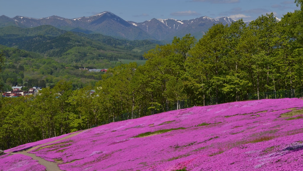 北海道滝上町周辺のおすすめホテル｜紋別空港からも近いオホーツクの花の町