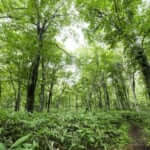 歌才オートキャンプ場ル・ピック