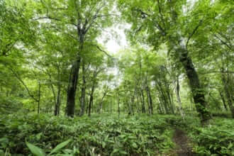 歌才オートキャンプ場ル・ピック