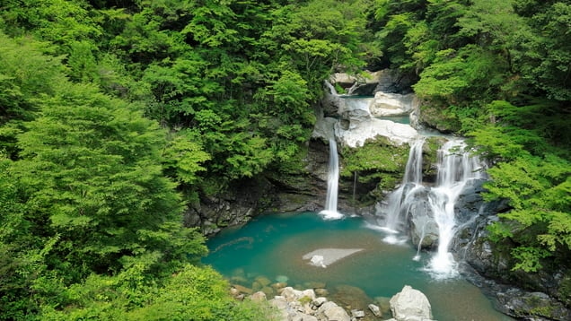 水と緑が豊かな徳島県那賀町のおすすめ観光スポットをご紹介！