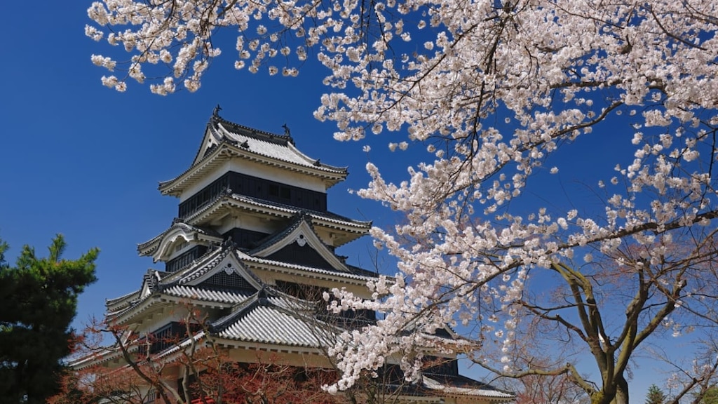 国宝の天守が美しい！松本城の観光の見どころを徹底紹介！