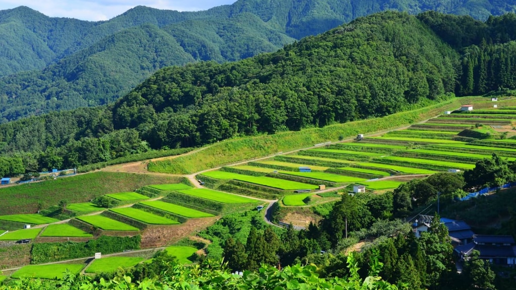 信州姨捨の絶景ポイントをお教えします！古くから知られた更科の観光名所