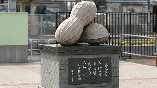 落花生の名産地・八街で買いたいお土産はこれ！人気のお菓子４選