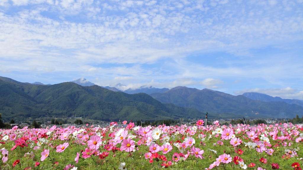 長野県安曇野市でおすすめのホテル＆ペンション10選！雄大な山を望むわさびの里